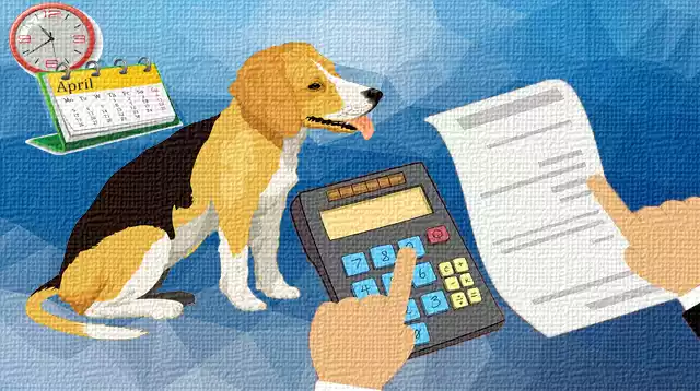 How-much-does-a-dog-cost-annually
