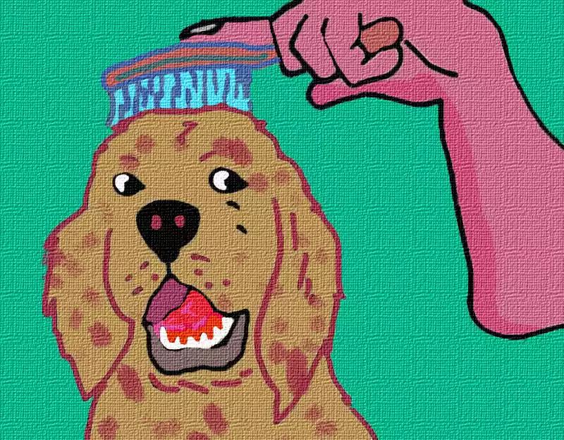 How-to-brush-your-dog's-hair
