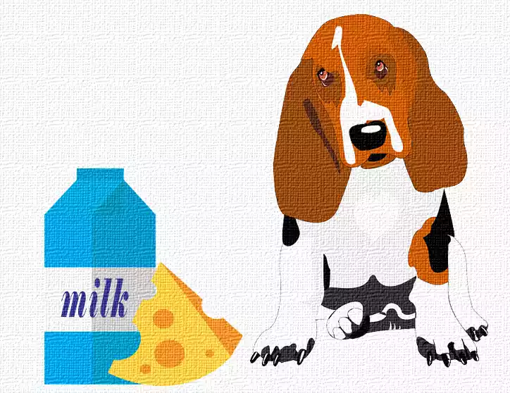 What-happens-if-a-dog-drinks-milk