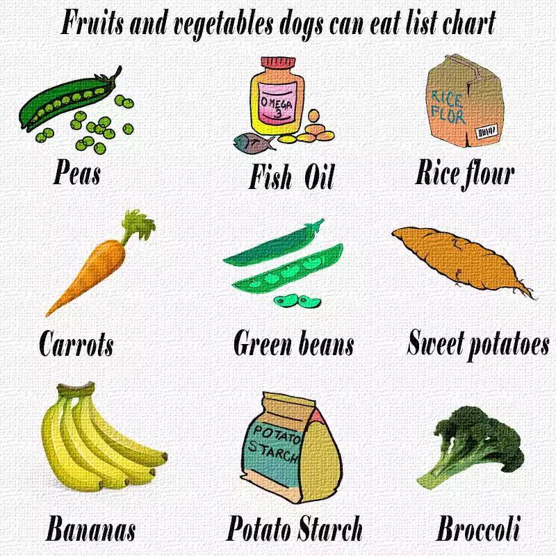 Fruits-and-vegetables-dogs-can-eat-list