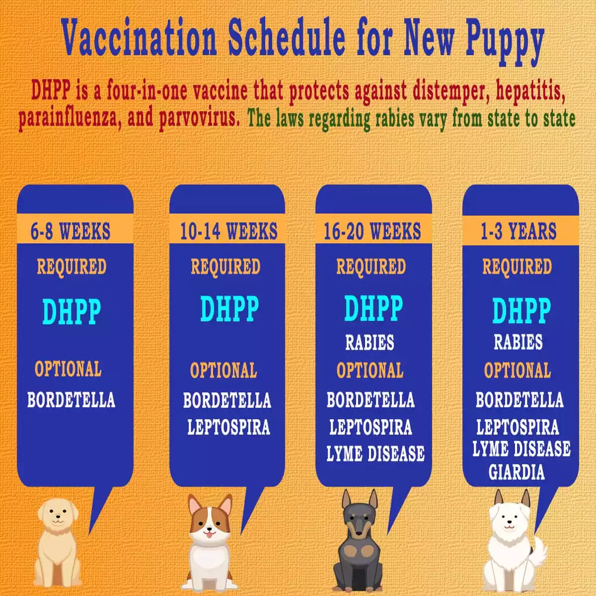 vaccination-schedule-puppy-chat