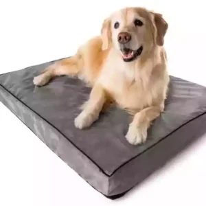 Read more about the article Cozy Orthopedic Dog Beds for Your Furry Friend