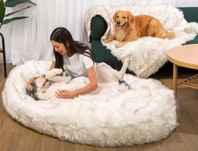 Fur-Dog-Bed-White-with-Brown-Accents-and-Matching-Waterproof-Blanket