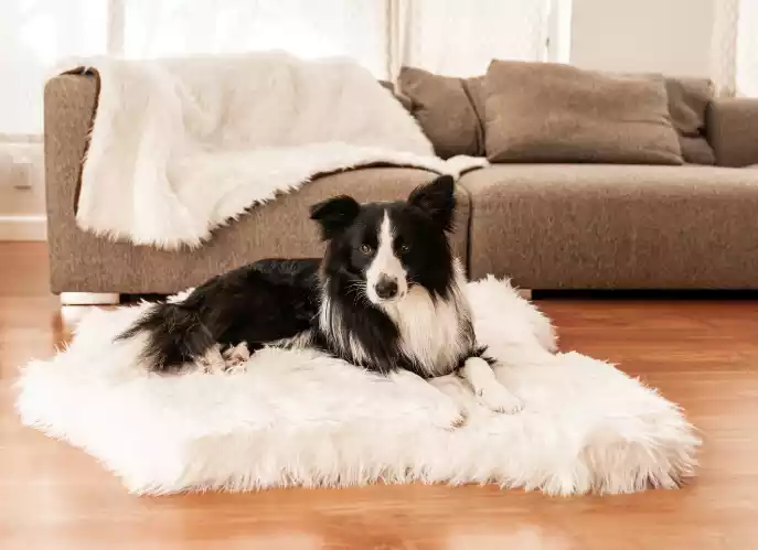 Memory-Foam-dog-Bed-Polar-Bear-Faux-Hide-Matching-Waterproof-Blanket