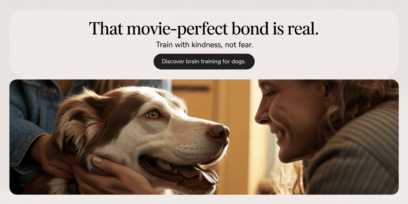 brain-training-for-dogs-behavior-correction-system