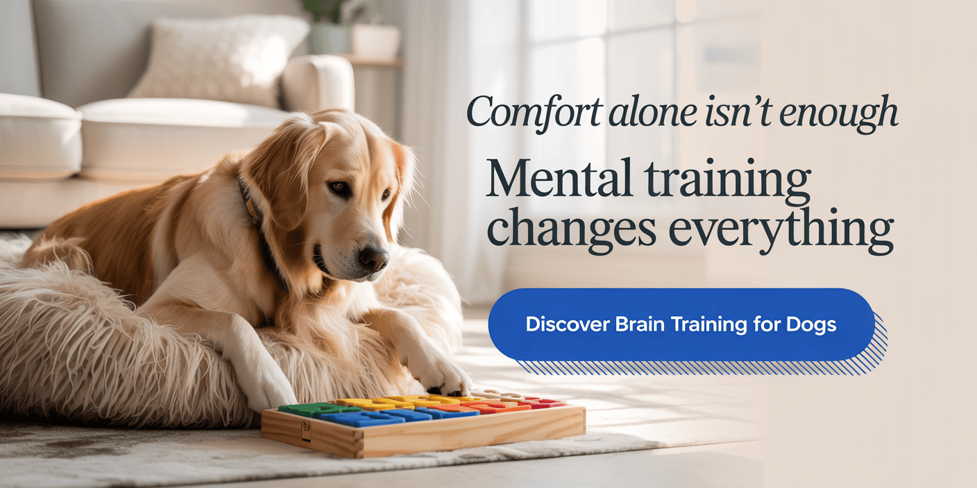 brain-training-for-dogs-obedience-and-behavior
