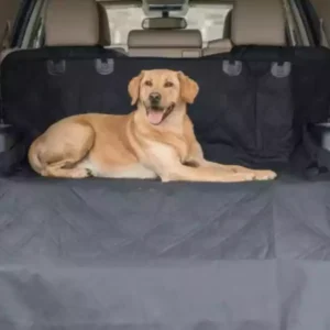 Read more about the article 10 Best back seat car cover for dogs – Waterproof, Non-Slip & Durable (2024)