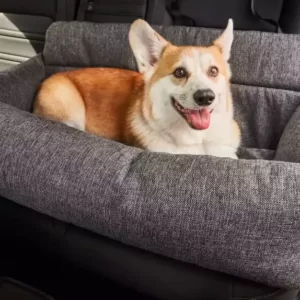 Read more about the article Backseat Bliss: Finding the Perfect Dog Car Bed