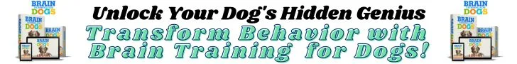 waterproof-back-seat-car-cover-for-dogs-with-non-slip-bottom