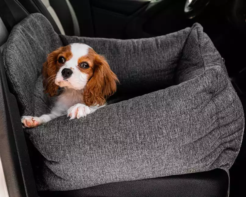 dog-bed-for-backseat-of-car