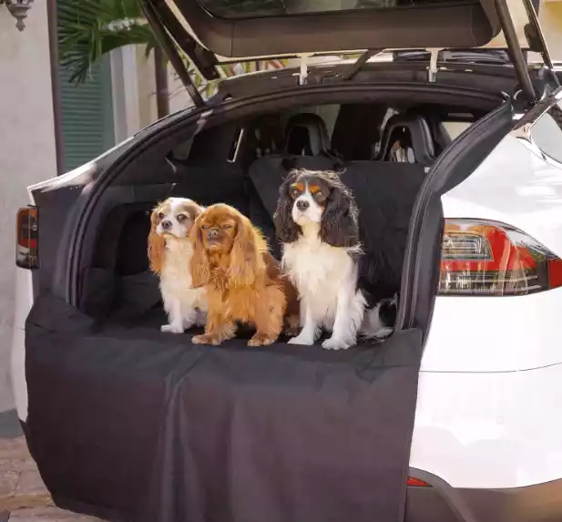 heavy-duty-dog-car-seat-cover