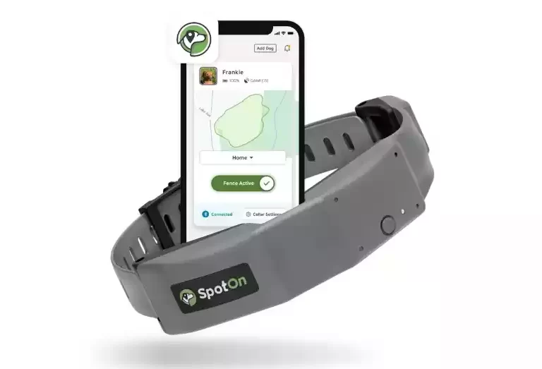SpotOn-GPS-Fence-Dog-Collar-review