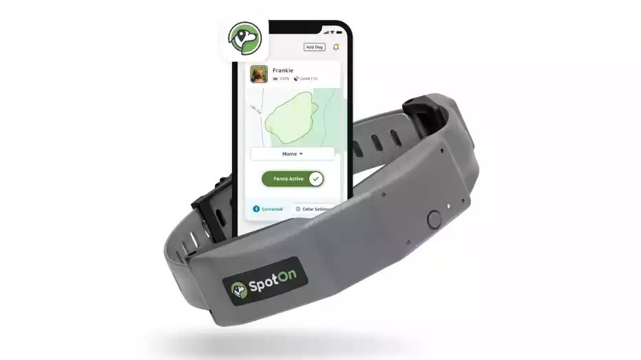 You are currently viewing SpotOn GPS Fence Dog Collar Reviews: Unleash Your Dog’s Freedom, Safely