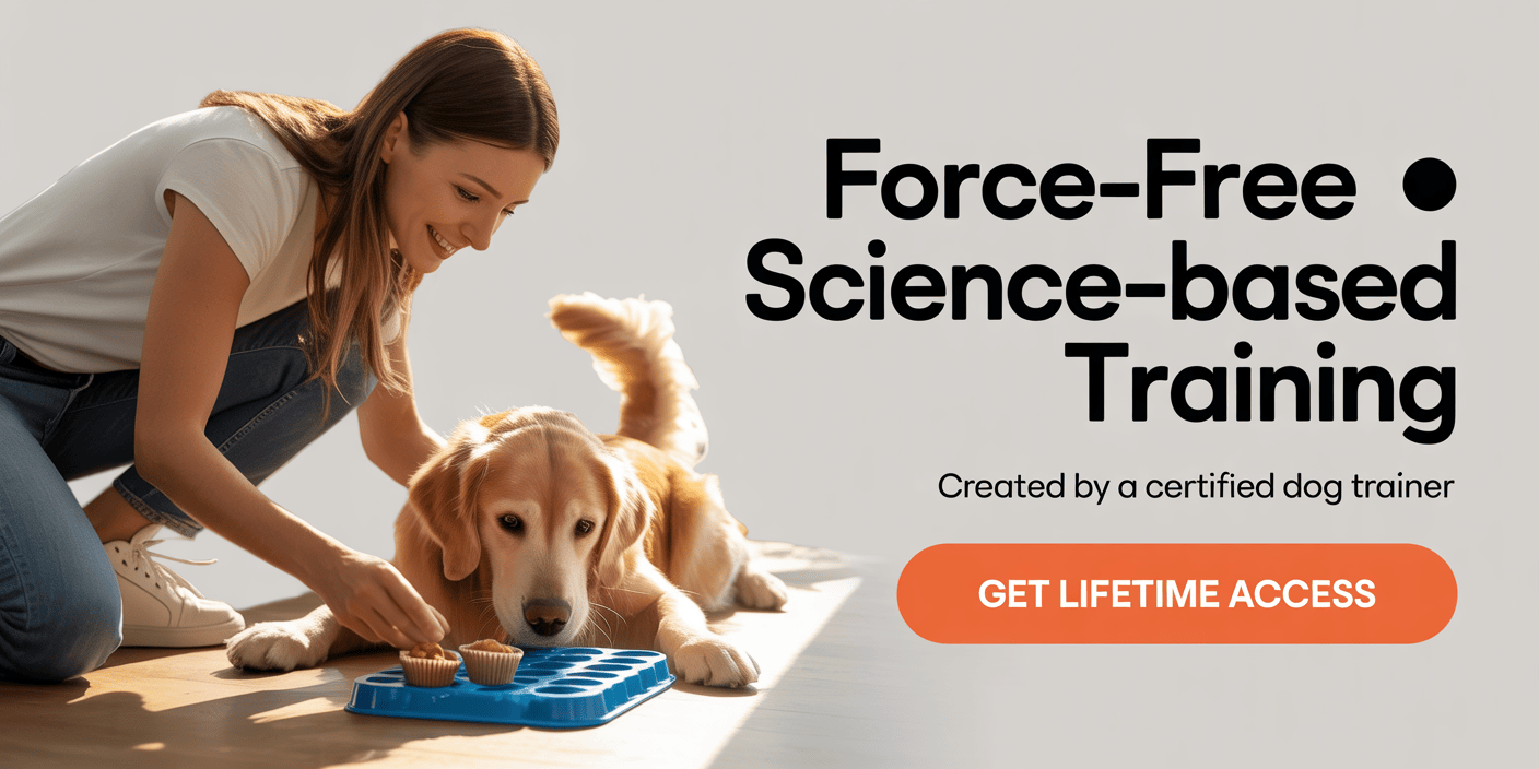 brain-training-for-dogs-behavior-correction-system