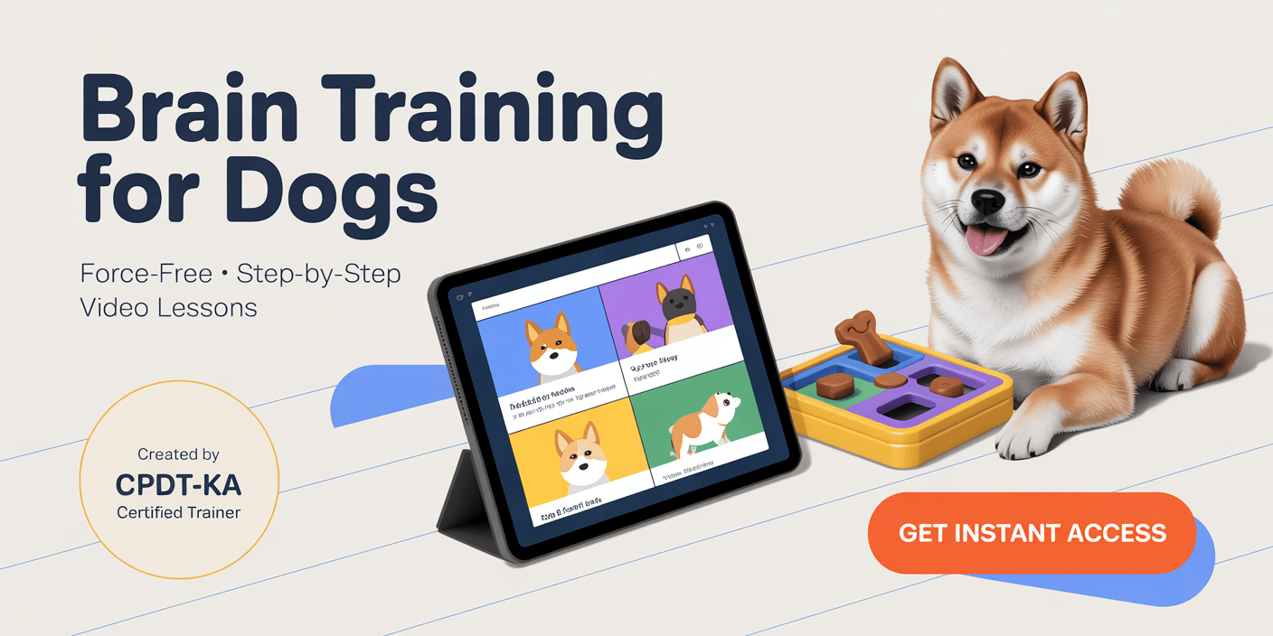 brain-training-for-dogs-obedience-and-behavior