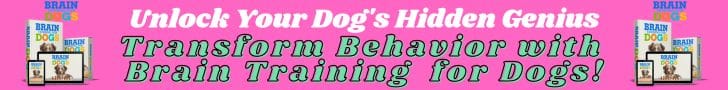 housebreaking-a-puppy-easily