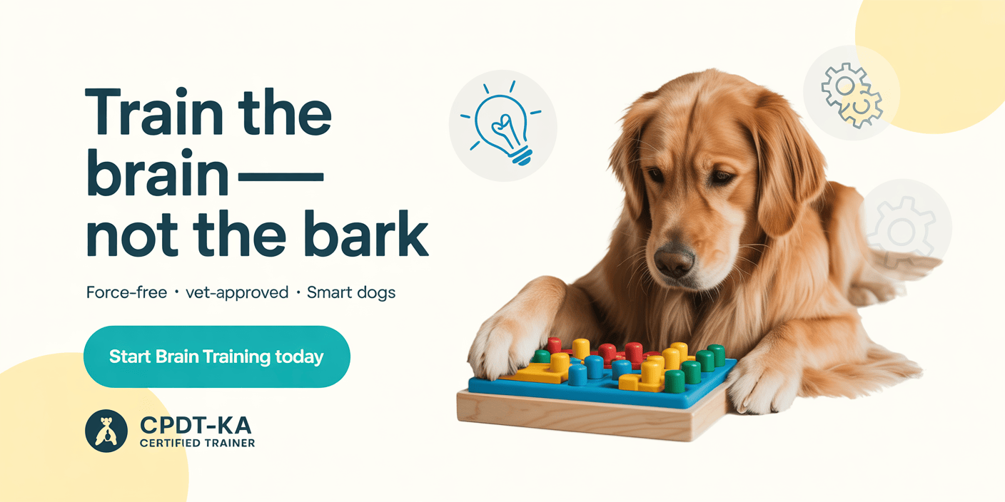 brain-training-for-dogs-behavior-correction-system