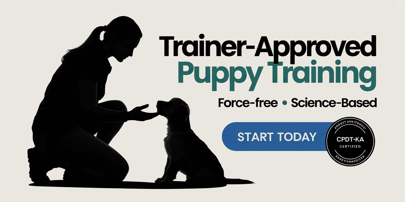 dog-behavior-training-with-brain-games