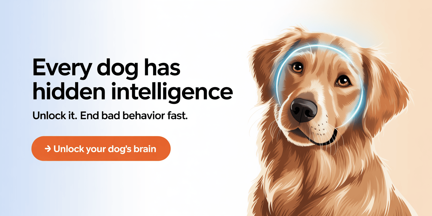 cpdt-ka-certified-dog-trainer-online-course