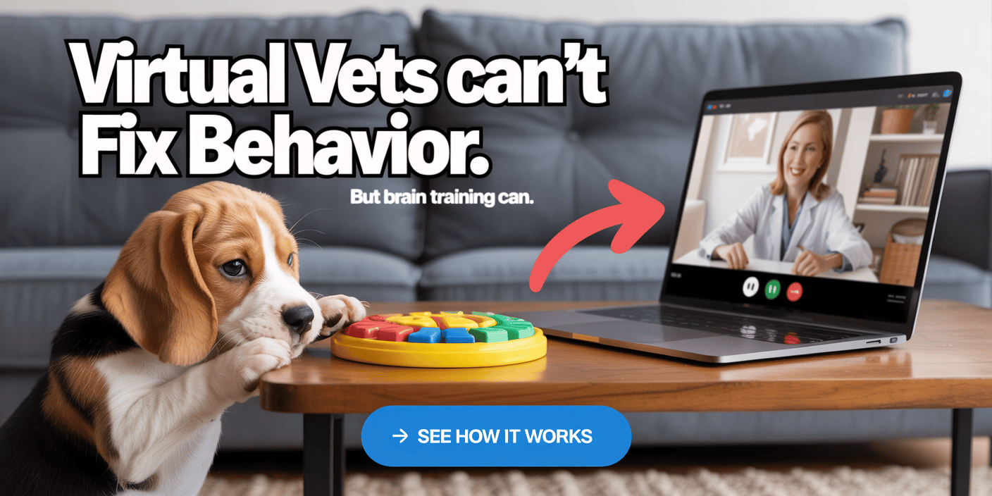 dog-behavior-training-with-brain-games