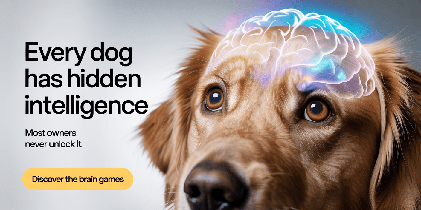 science-based-positive-dog-training-methods