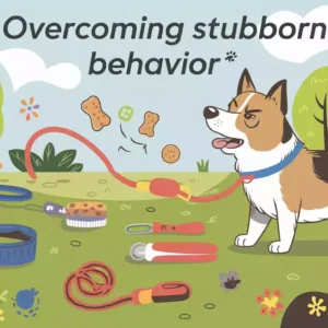 Read more about the article Overcoming Stubborn Dog Behavior: What to Do When Your Dog Ignores You