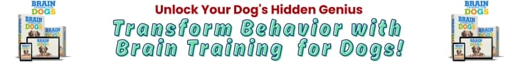 brain training for dogs