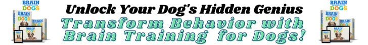 brain training for dogs