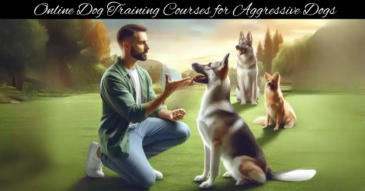You are currently viewing Top 5 Online Dog Training Courses for Aggressive Dogs: Expert-Recommended Programs in 2025