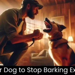 Read more about the article How to Stop Dog Barking: Proven Training Tips to Calm Excessive Barking