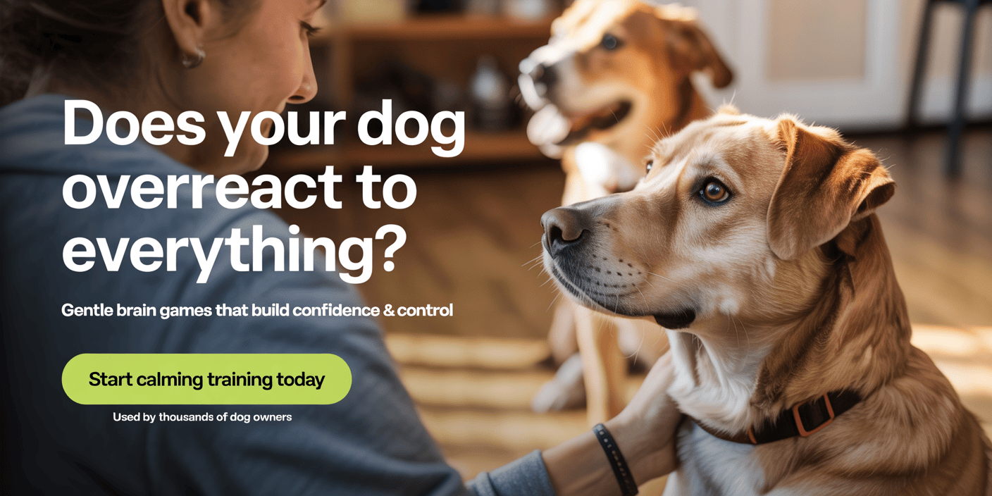 brain-training-for-dogs-behavior-correction-system