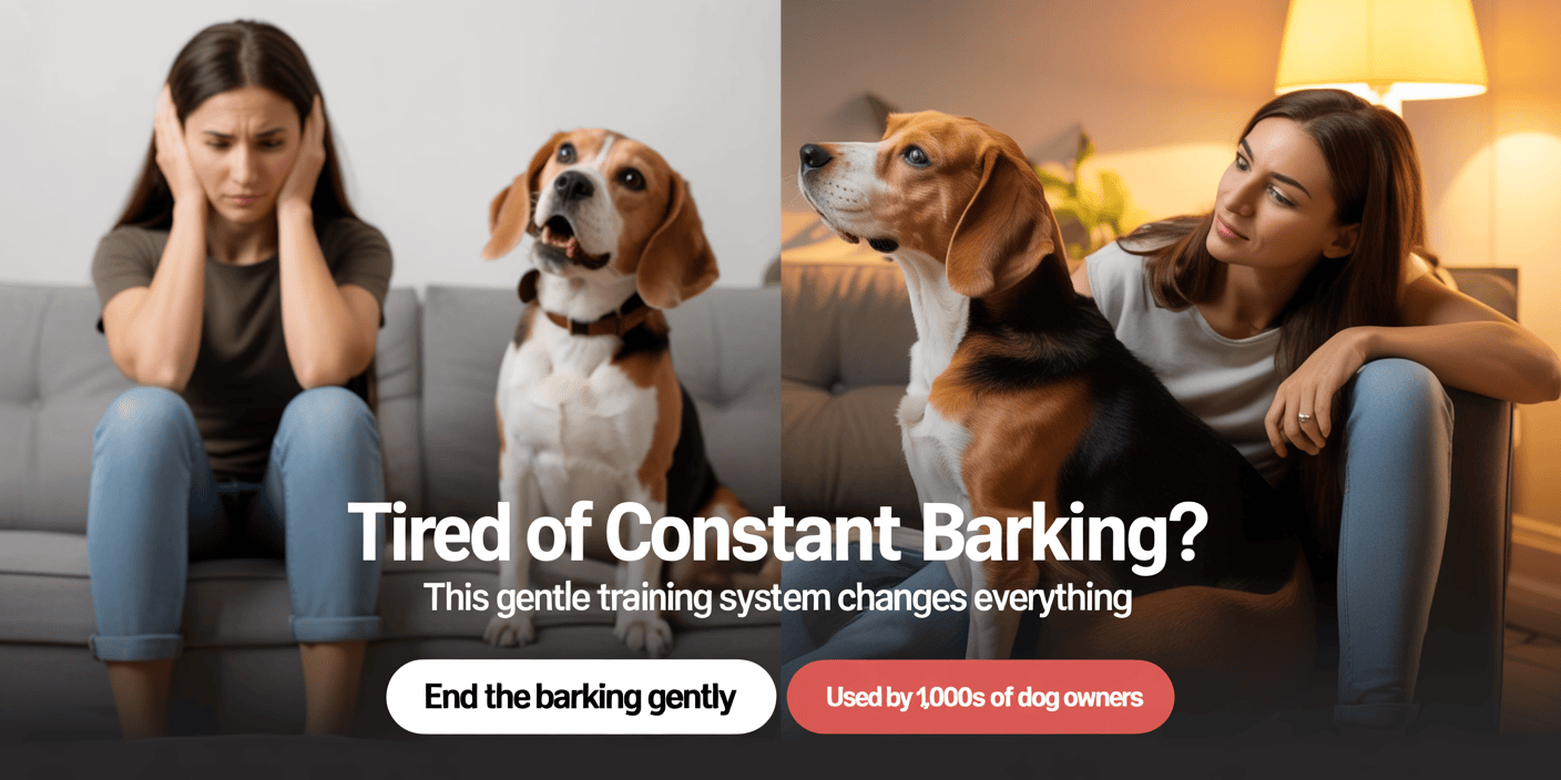 brain-training-for-dogs-behavior-correction-system