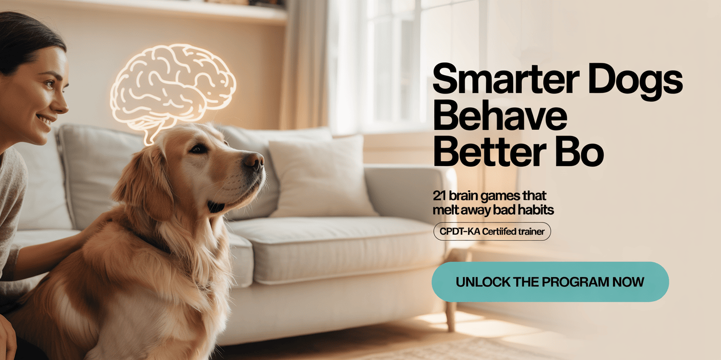 adrienne-farricelli-positive-dog-training-course