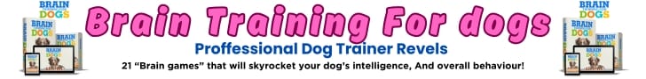 trainer-demonstrating-leash-pulling-exercise