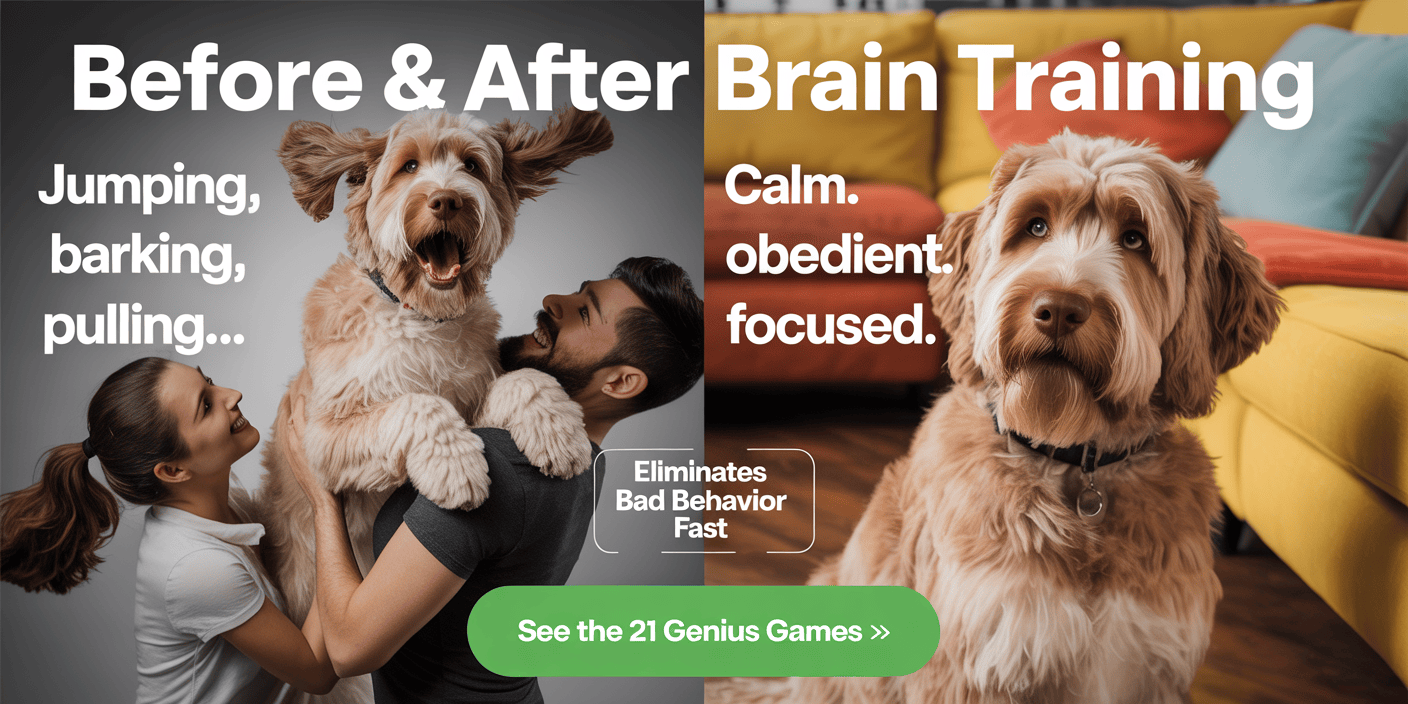 brain-training-for-dogs-obedience-and-behavior