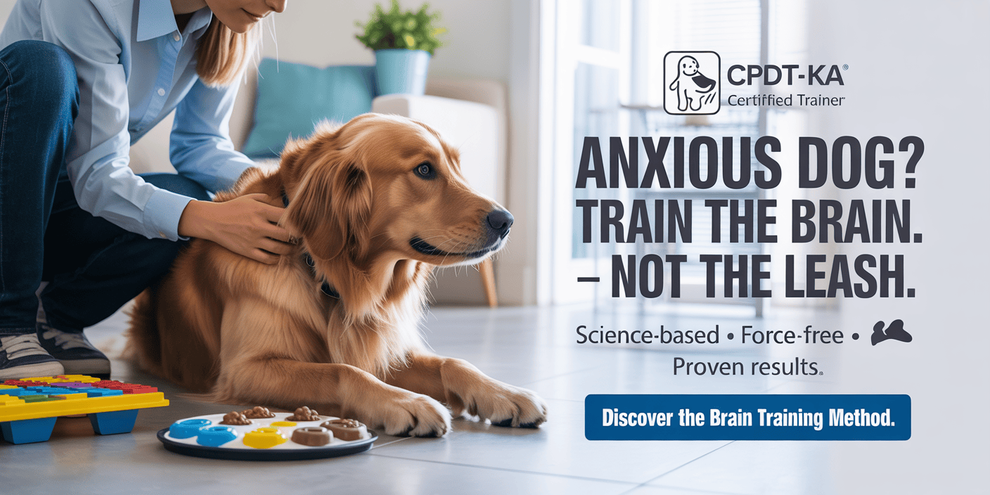 cpdt-ka-certified-dog-trainer-online-course