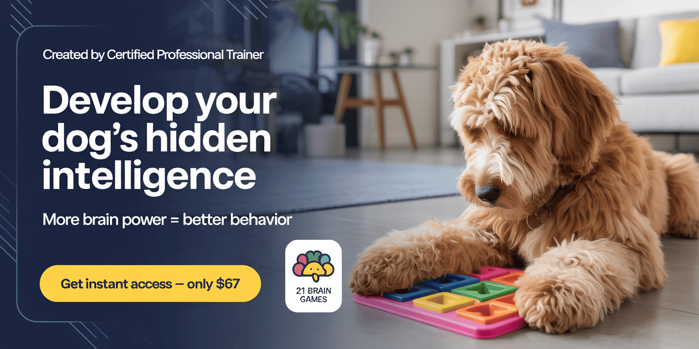 force-free-dog-training-by-certified-trainer