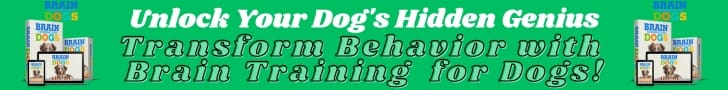 Anti-dig-dog-deterrent-mat-preventing-yard-holes
