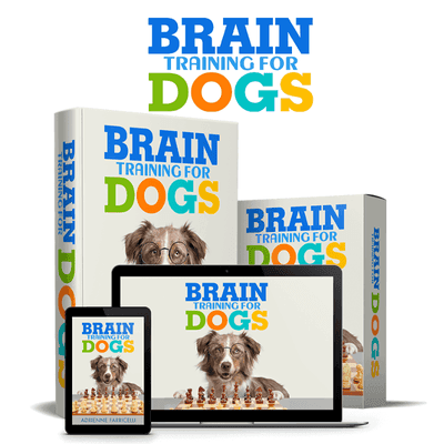 dog-digging-holes-behavioral-training-tips