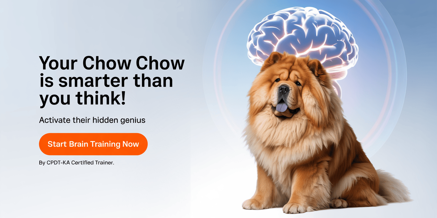 force-free-dog-training-by-certified-trainer