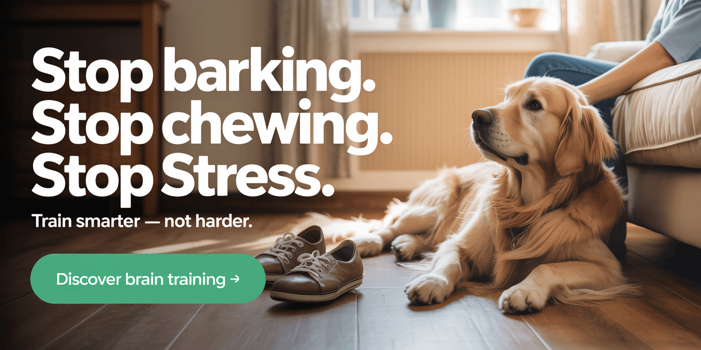 cpdt-ka-certified-dog-trainer-online-course
