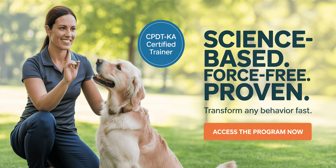 mental-stimulation-dog-training-program