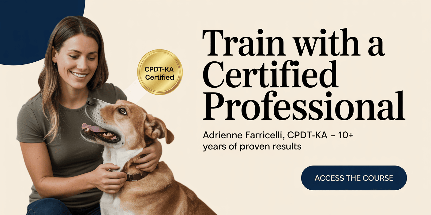 positive-reinforcement-dog-training-brain-games