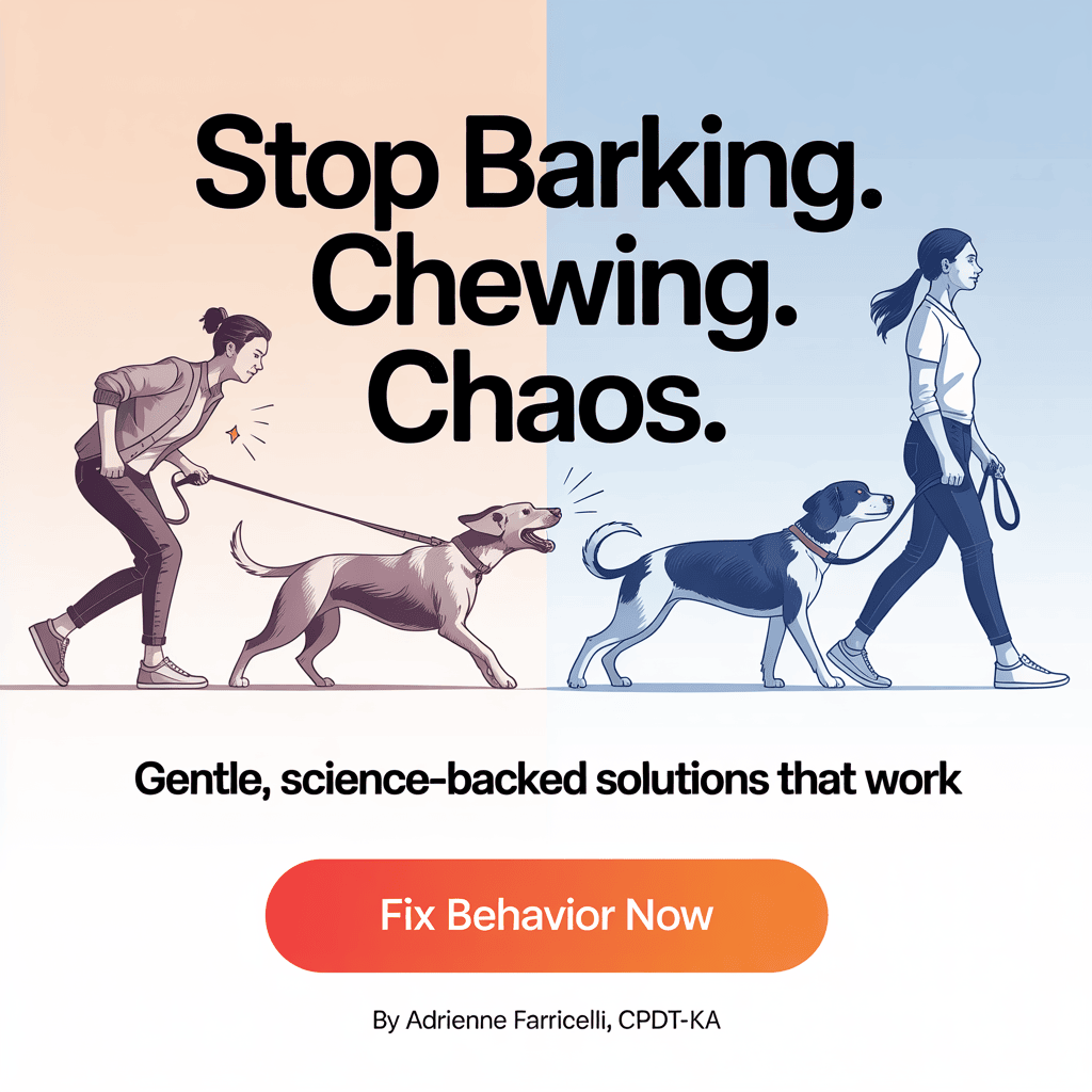 science-based-positive-dog-training-methods