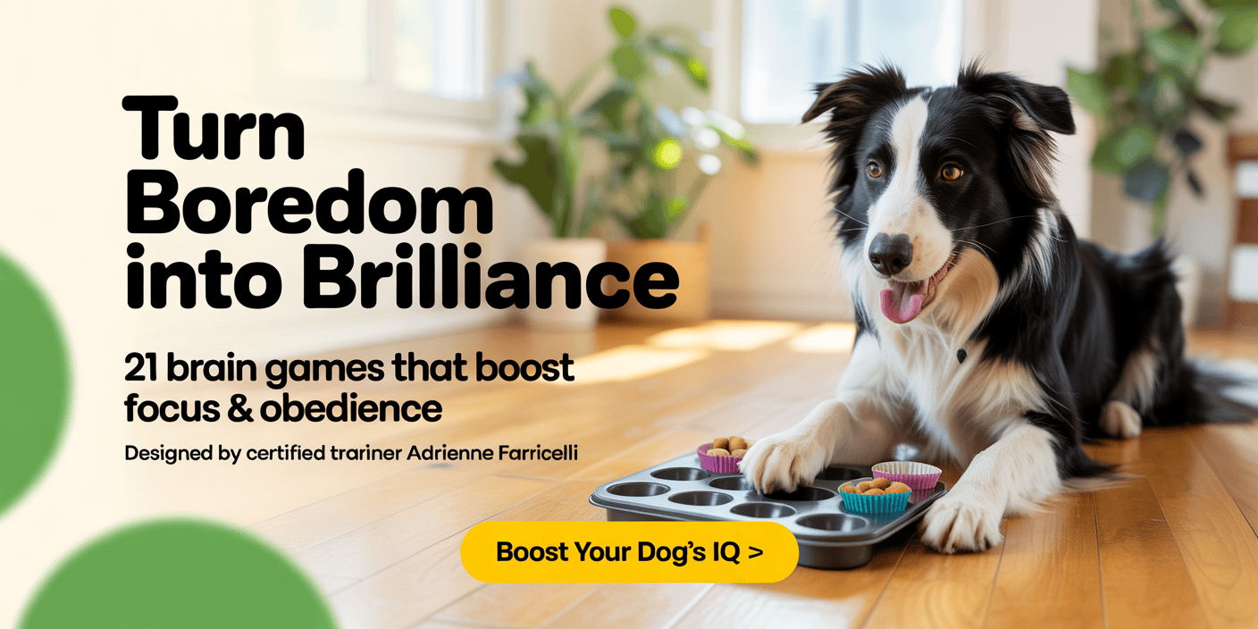 brain-training-for-dogs-behavior-correction-system