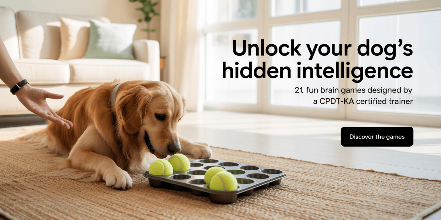 brain-training-for-dogs-obedience-and-behavior