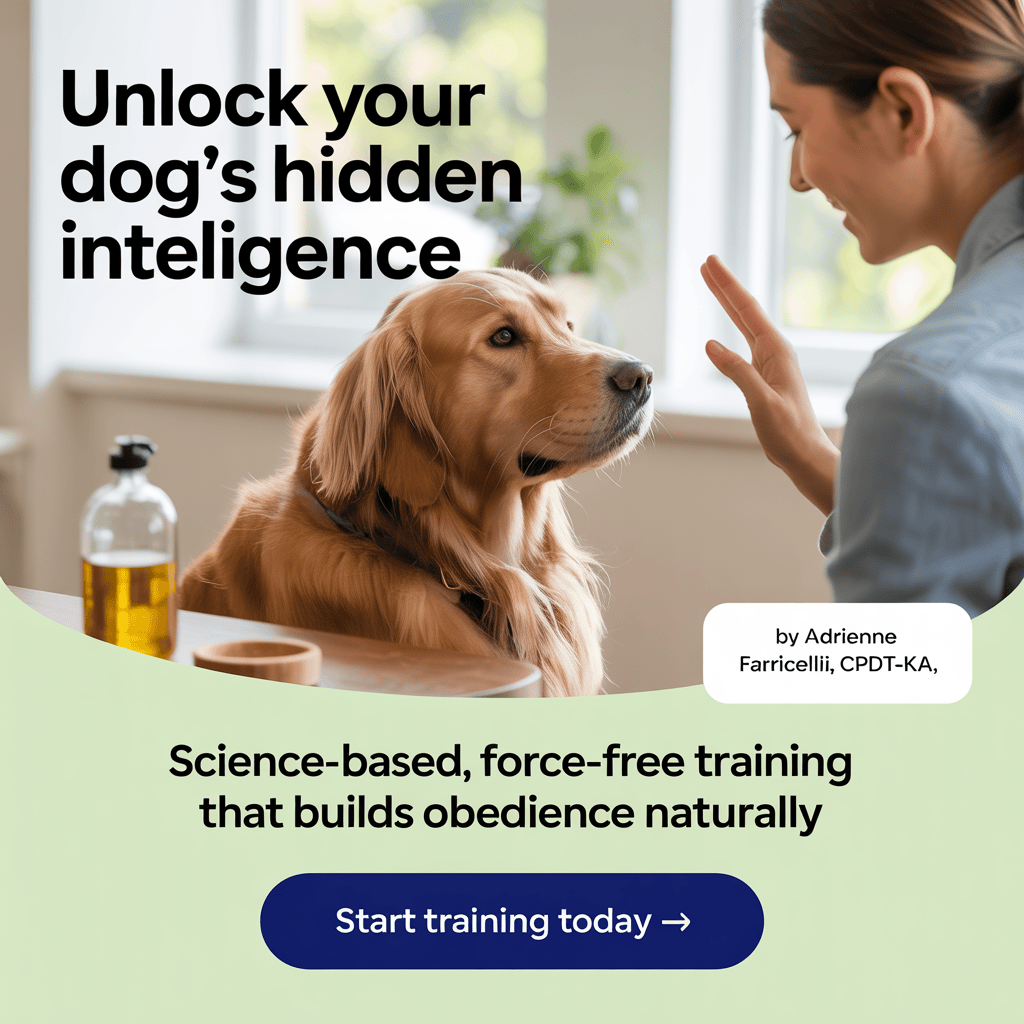 brain-training-for-dogs-online-dog-training-program