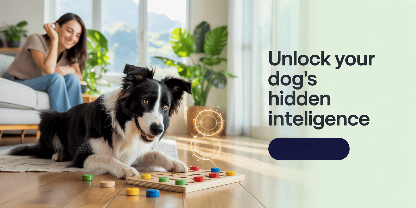 dog-behavior-training-with-brain-games