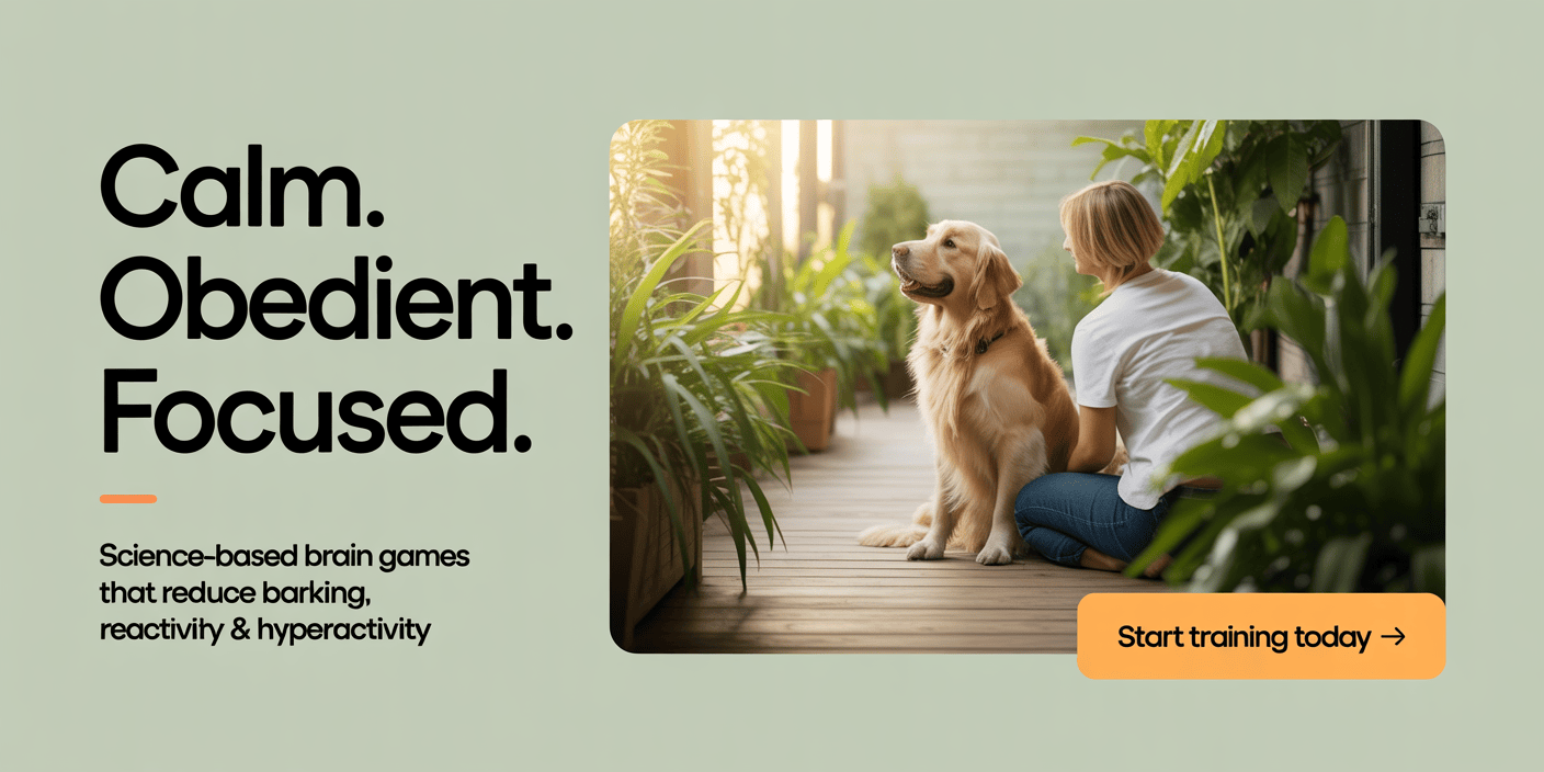 mental-stimulation-dog-training-program