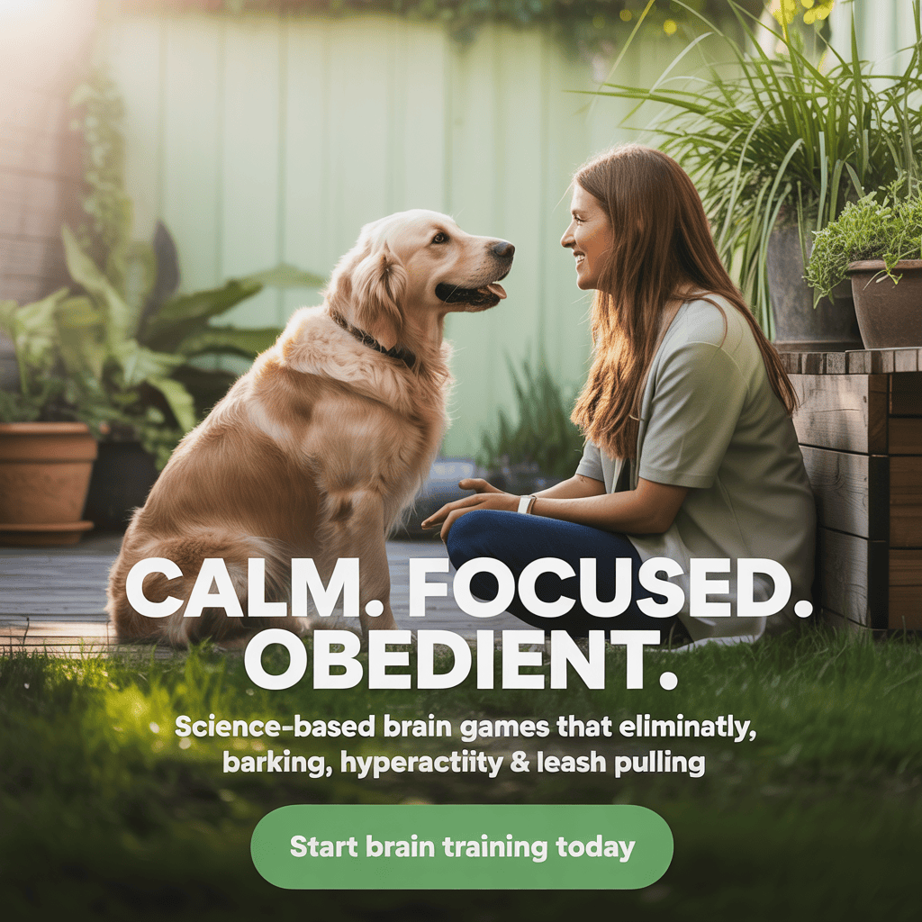 positive-reinforcement-dog-training-brain-games